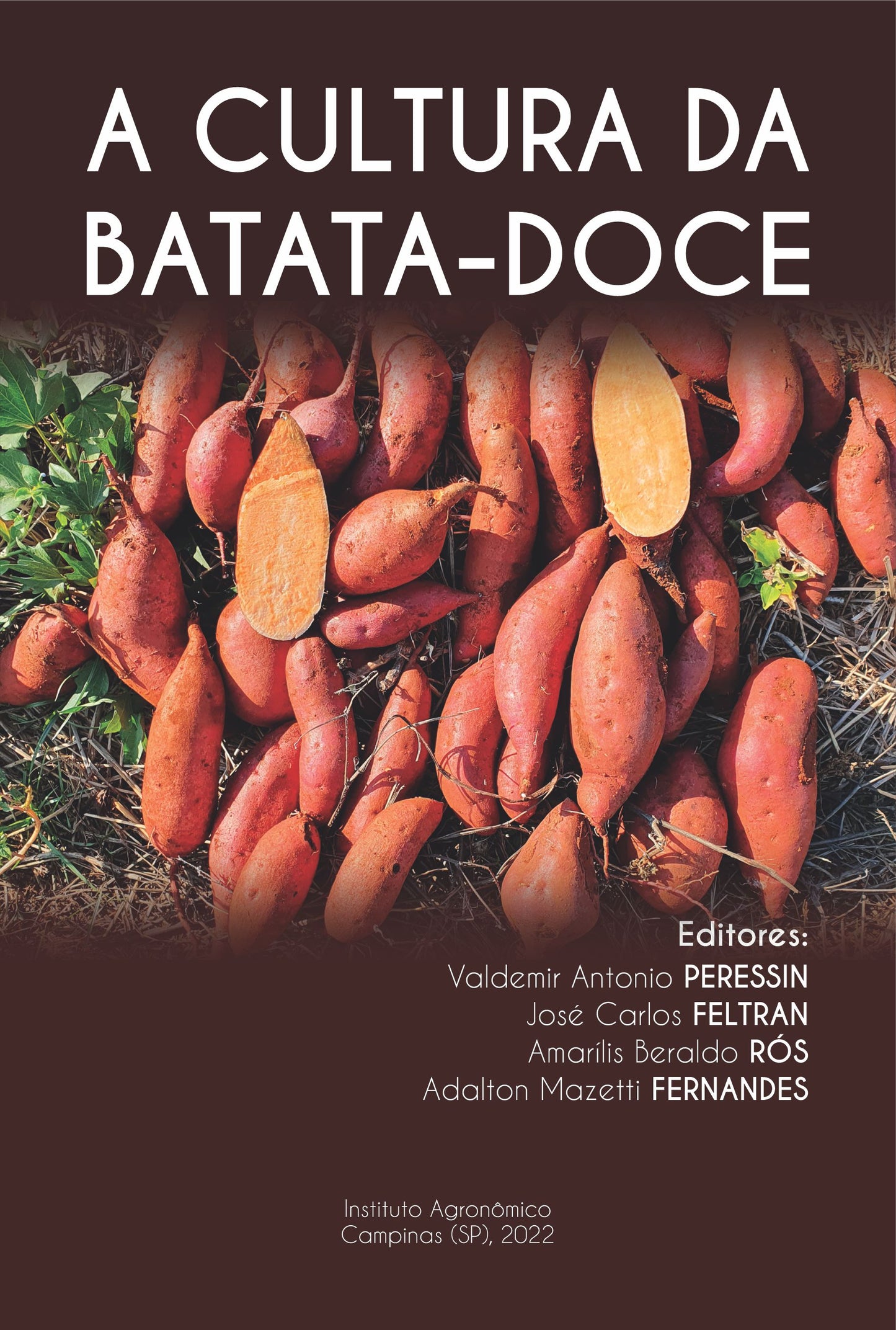 A CULTURA DA BATATA-DOCE