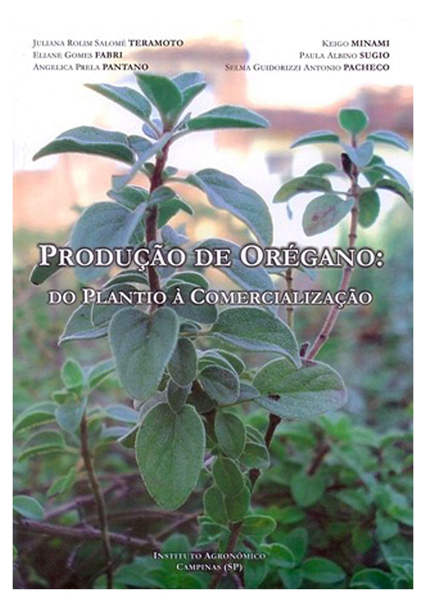 Produção de orégano: do plantio à comercialização