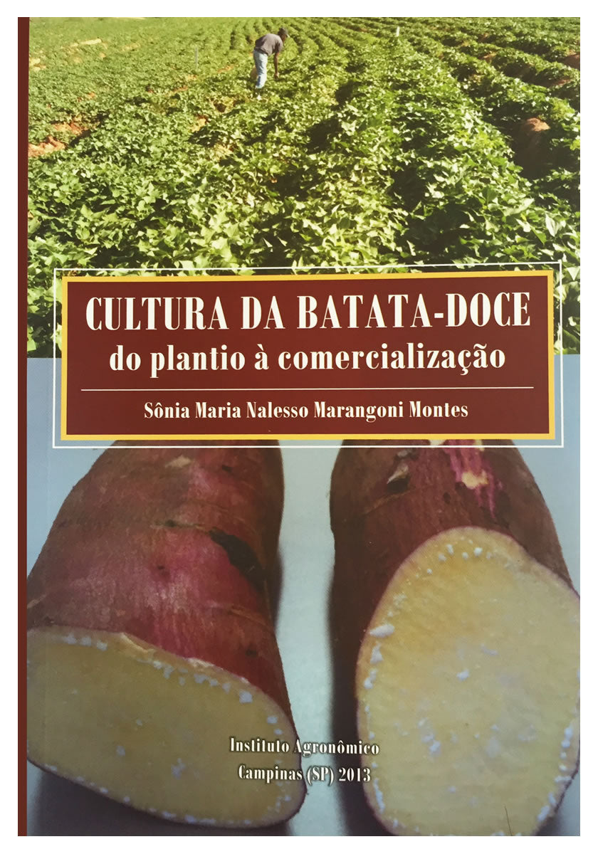Cultura da batata-doce: do plantio à comercialização